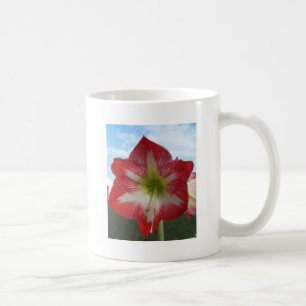 Caneca De Café Amaryllis Red e White MegaStar