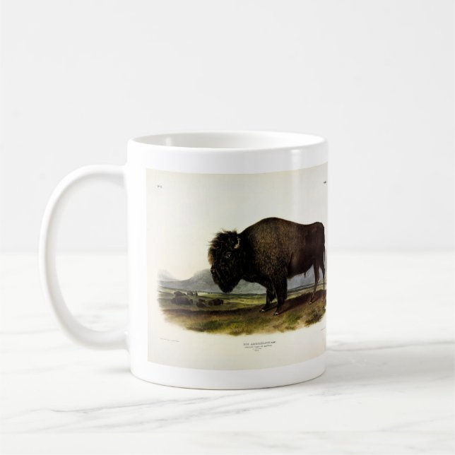 Caneca De Café American Bison, ou Buffalo (Bison bison) - Audubon (Esquerda)