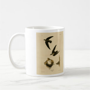 Caneca De Café American (Chimney) Swift Audubon, Birds da América