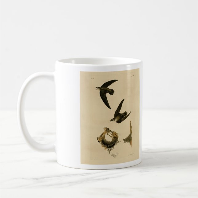 Caneca De Café American (Chimney) Swift Audubon, Birds da América (Esquerda)