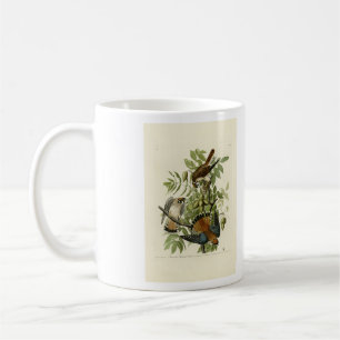 Caneca De Café American Sparrow Hawk - As Aves da América de Audu