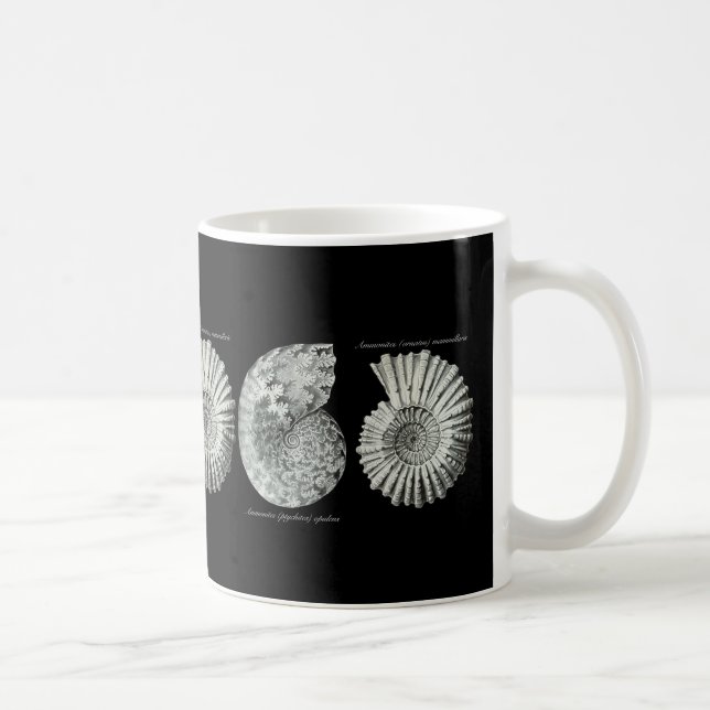Caneca De Café Amonites (Direita)
