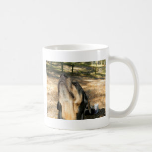 Caneca De Café Amor de Rottweiler