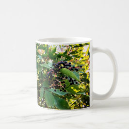Caneca De Café Amoras pretas