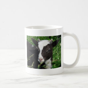 Caneca De Café Amy's Lamb
