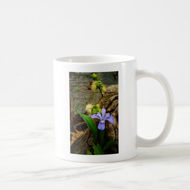 Caneca De Café Anã-Caverna-Iris, flor branca púrpura azul-púrpura (Direita)