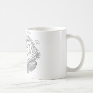 Caneca De Café Anatomia do cérebro do vintage