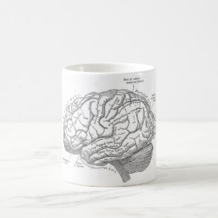 Caneca De Café Anatomia do cérebro do vintage