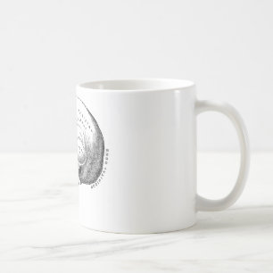 Caneca De Café Anatomia do crânio