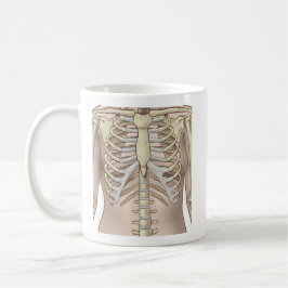 Caneca De Café Anatomia do esqueleto feminino do felpudo Express®