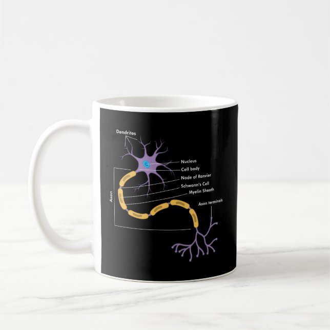 Caneca De Café Anatomia Do Neurologista Neurônico (Esquerda)