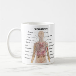 Caneca De Café Anatomia humana