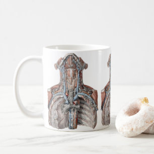 Caneca De Café Anatomia Humana Vintage Garganta, Pescoço, Peito, 