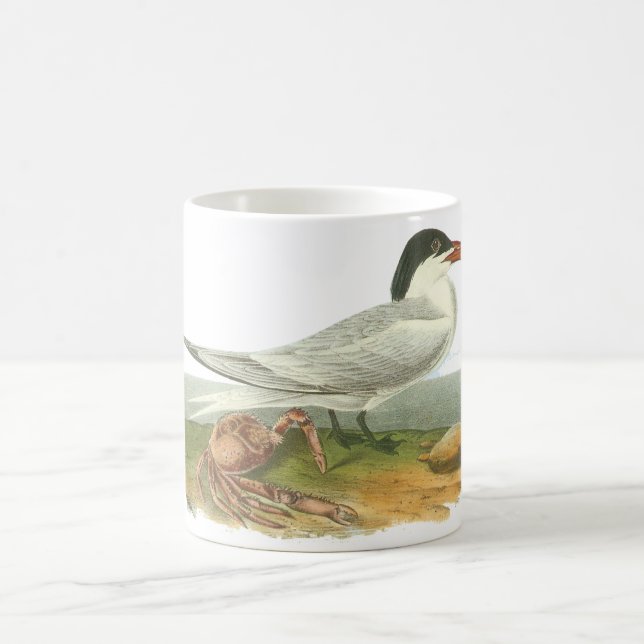 Caneca De Café Andorinha-do-mar real, John Audubon (Centro)