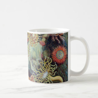 Caneca De Café Anêmona de mar de Ernst Haeckel Actiniaea