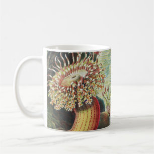 Caneca De Café Anêmonas do Mar, Actiniae Seeanemonen Ernst Haecke
