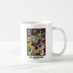 Caneca De Café Anemonas marinhas