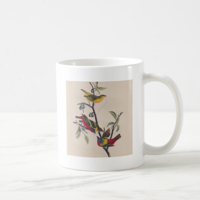 Caneca De Café Animais Selvagens de Aves Pintadas com Audubon (Direita)