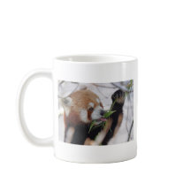 animal vermelho panda bonito