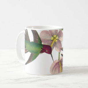 Caneca De Café Anna's Hummingbird de Audubon