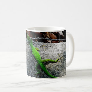 Caneca De Café Anole Lizard 6704