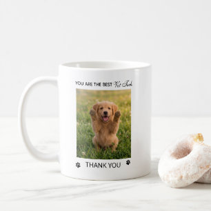 Caneca De Café Aplaine de Apreciação de Técnico Veterinário
