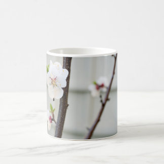 Caneca De Café Apricot Blossom