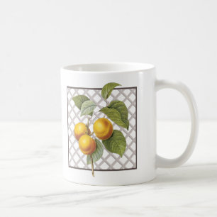 CANECA DE CAFÉ APRICOTES