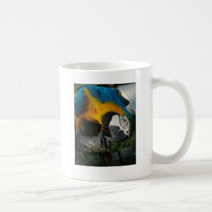 Caneca De Café aqui está olhando-o