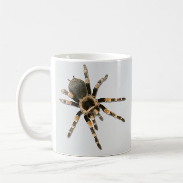 Caneca De Café Araignée mygale (Brachypelma smithi). (Esquerda)