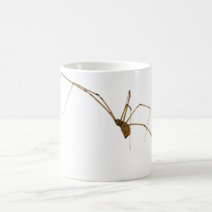 Caneca De Café Aranha