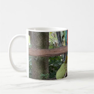 Caneca de Café Arara