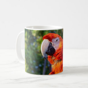 Caneca De Café Arara