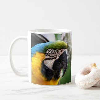 Caneca De Café Arara azul e amarela