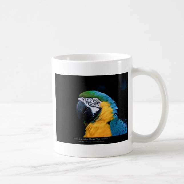 Caneca De Café Ararauna do Ara - Macaw Azul-e-amarelo 01 (Direita)