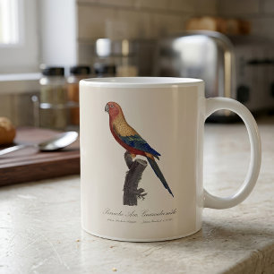 Caneca De Café Aratinga-sol, Aratinga Solstitialis