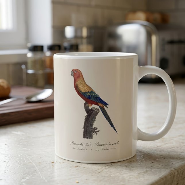 Caneca De Café Aratinga-sol, Aratinga Solstitialis (Sun Parakeet Male, Aratinga Solstitialis. Coffee Mug)