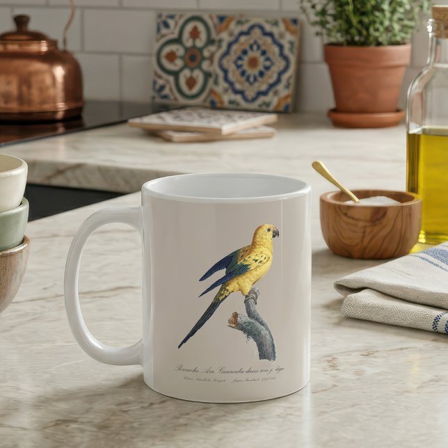 Caneca De Café Aratinga-sol ou Jandaia-sol Aratinga solstitialis (Guarouba dans sons jeune age / Sun parakeet. Coffee Mug)