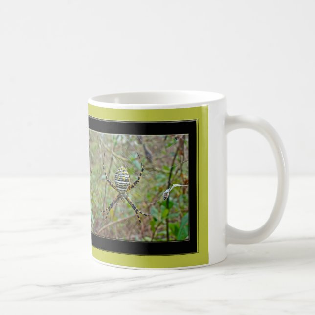 Caneca De Café Argiope trifasciata Orb Weaver Spider (Direita)