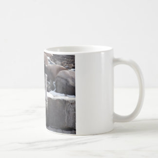Caneca De Café Arminho em rochas nevado