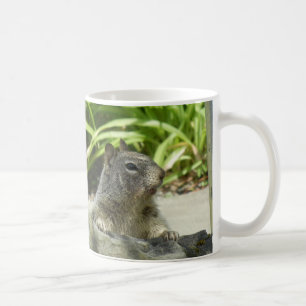 Caneca De Café Arrefecimento de esquilo na Shade Mug