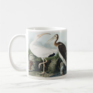 Caneca De Café Arte da Natureza da Ave Íbis-Branca de Audubon Vin