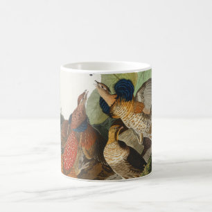 Caneca De Café Arte da Natureza do Galo-da-serra Vintage Audubon