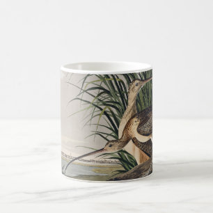 Caneca De Café Arte de Ave Vintage Audubon Maçarico-de-bico-curvo