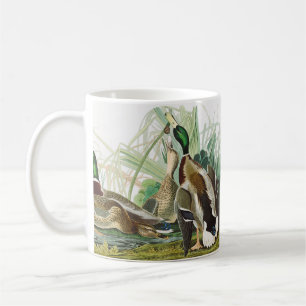 Caneca De Café Arte de vida selvagem do pato-real de Audubon Vint