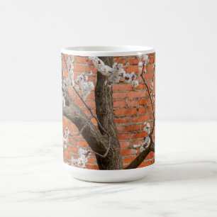 Caneca De Café Árvore de Ameixa em Flor Parede de Tijolo Vermelho