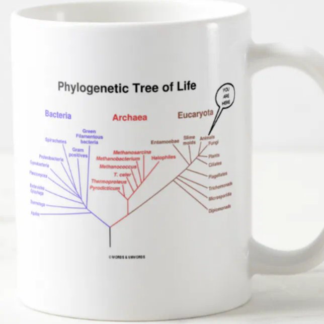 Caneca De Café Árvore de vida filogenética - você está aqui (a (Mug featuring the phylogenetic tree of life along with the "You Are Here" call-out)