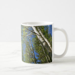 Caneca De Café Árvores de Bétula de Verão nas Montanhas Rochosas