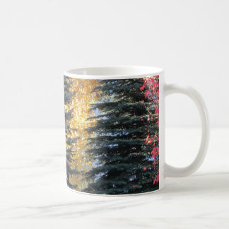 Caneca De Café Árvores de Outono na Floresta em um Dia Ensolarado