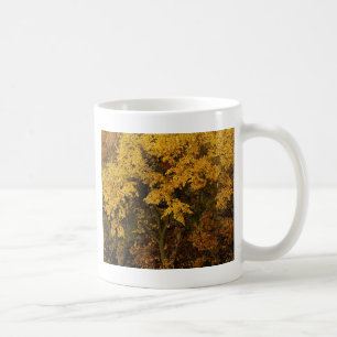 Caneca De Café Árvores do outono